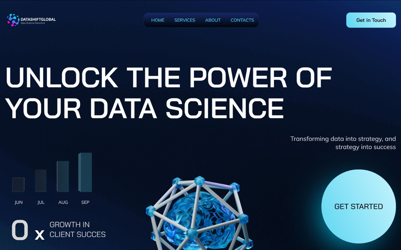 Data Shift Global Agency Website sample website